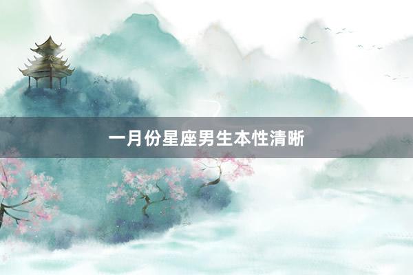 一月份星座男生本性清晰