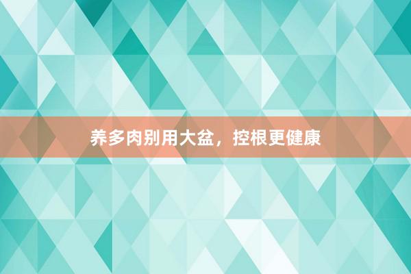 养多肉别用大盆，控根更健康